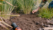 Kit d'arrosage goutte-à-goutte pour rangées de plantes 15 m - GARDENA - 13010-90