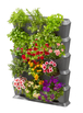 Kit mur végétal NatureUp avec arrosage intégré - GARDENA - 13151-20