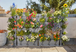 Kit mur végétal NatureUp avec arrosage intégré - GARDENA - 13151-20