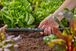 Jonction droite 13 mm - GARDENA - 13203-26
