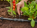 Réducteur en T 13 mm - 4.6 mm - GARDENA - 13204-26