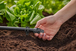 Bouchon fin de ligne 13 mm - GARDENA - 13205-26