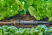 Raccord nez de robinet 13 mm - GARDENA - 13222-20