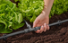 Tuyau pour arrosage goutte-à-goutte13 mm (1/2