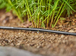Extension de tuyau à goutteurs intégrés de surface 4,6 mm (3/16