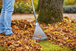 Balai à gazon réglable NatureLine - FSC® 100% - GARDENA - 17107-20