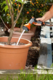 Pistolet Multi-applications Classic - GARDENA - 18313-20