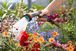Pistolet d'arrosage et nettoyage Comfort - GARDENA - 18323-20