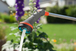 Fusil-arrosoir pour suspensions Comfort - GARDENA - 18335-20