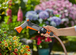 Pistolet d'arrosage compteur d'eau AquaCount - GARDENA - 18352-20