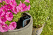 Capteur météo connecté smart sensor GARDENA - 1904020