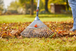 Balai à gazon réglable combisystem - GARDENA - 3103-20