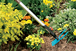 Serfouette Combisystem - GARDENA - 3218-20