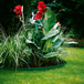 Bordures de pelouse - GARDENA - 540-20