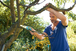 Scie à élaguer repliable 200 P - GARDENA - 8743-20