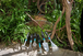 Serfouette - GARDENA - 8955-20