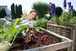 Griffe piocheuse - GARDENA - 8957-20