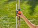 Douche de jardin solo - GARDENA - 961-20