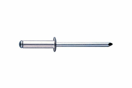 BOITE INDEX DE 250-RIVETS TÊTE BOMBÉE FILETAGE M Ø 6 MM L 12 MM -RENO6012