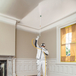 Pompe à membrane SuperFinish 21 Pro HEA - WAGNER - 2437311