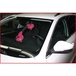 Ventouse double pour pare-brise KSTOOLS - 1401006