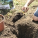 Transplantoir à dents manche bi-matière duopro - LEBORGNE - 449170