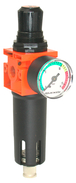 Filtres regulateur 1/4 LACME - 317500