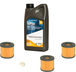 Kit entretien twin 55w LACME - 474202