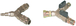 Kit raccordsement 2 pistolets LACME - 489300
