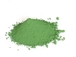 COLORANT CIMENT VERT 1 KG MONDELIN - 302580