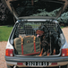 Filet pare chien universel - MOTTEZ - A004B