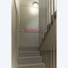 Mousse de protection murale « grande longueur » - MOTTEZ - A103PBR