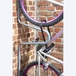Range vélo mural individuel « antivol » - MOTTEZ - B123P