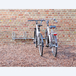 Range 4 vélos mural à 90° - MOTTEZ - B140V4