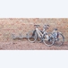 Range 4 vélos mural à 45° - MOTTEZ - B141V4