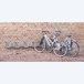 Range 5 vélos mural à 45° - MOTTEZ - B141V