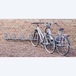 Range 5 vélos mural à 45° - MOTTEZ - B141V