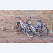 Râtelier mural à 45° pour 1 vélo - MOTTEZ - B880V45