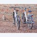 Râtelier mural à 90° pour 1 vélo - MOTTEZ - B880V90