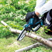 Tronçonneuse d’élagage LXT 18 V Li-ion - 3Ah - 15cm - MAKITA - DUC150SF