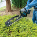 Taille-haie LXT 18 V Li-Ion - 52 cm - MAKITA - DUH506Z