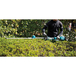 Taille-haie à perche MAKITA 18 V Li-Ion 60 cm (Produit seul) - DUN600LZ