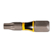 EMBOUT TORX20-25MM 2PCS IMPACT PREMIER MAKITA - E03218