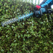 Taille-haie MAKITA XGT 40 V Max Li-Ion 4 Ah 60 cm - UH004GM201