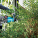 TAILLE-HAIE MAKITA M 60CM 40VMAX AVEC BATTERIE 4 AH UH006GM101