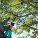 Outil Multifonctions XGT (outil seul) - MAKITA - UX01GZ