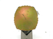 Alternateur caterpillar 50a remy - 646.006.050.390