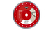 Disque diamant RUBI grès cérame TURBO - TPL-EXT PRO 250 - 40913