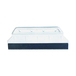 Peigne à colle trapézoïdal en plastique 28cm V3 - RAIMONDI - 11036