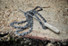 UPGRADE KIT HEXA N°4 pour MS 362, MS 400, MS 462, MS 500i & MS 661 - STIHL - 31320074702